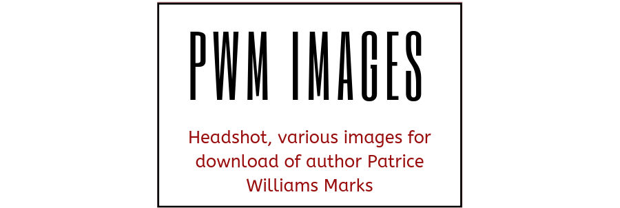 Images and Branding For Author Patrice Williams Marks
